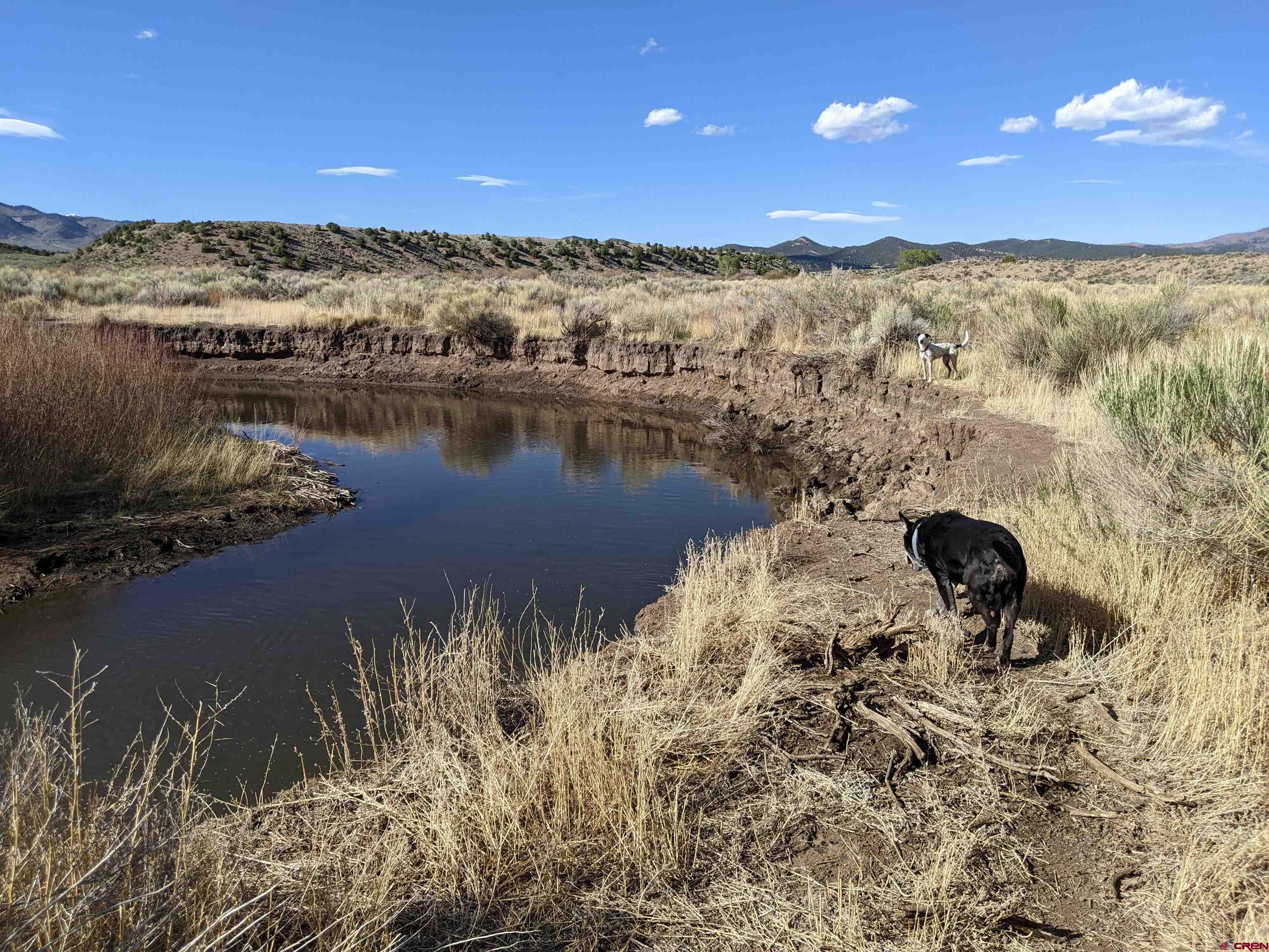 2971 Trinchera Ranch Road Fort Garland, CO 81133 - Photo 27 of 34 Gallery Image 27
