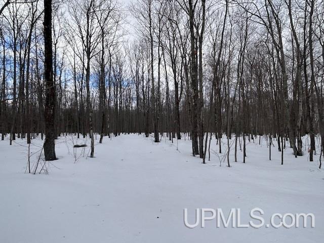 53554 North Superior Road Houghton, MI 49931 - Photo 37 of 41