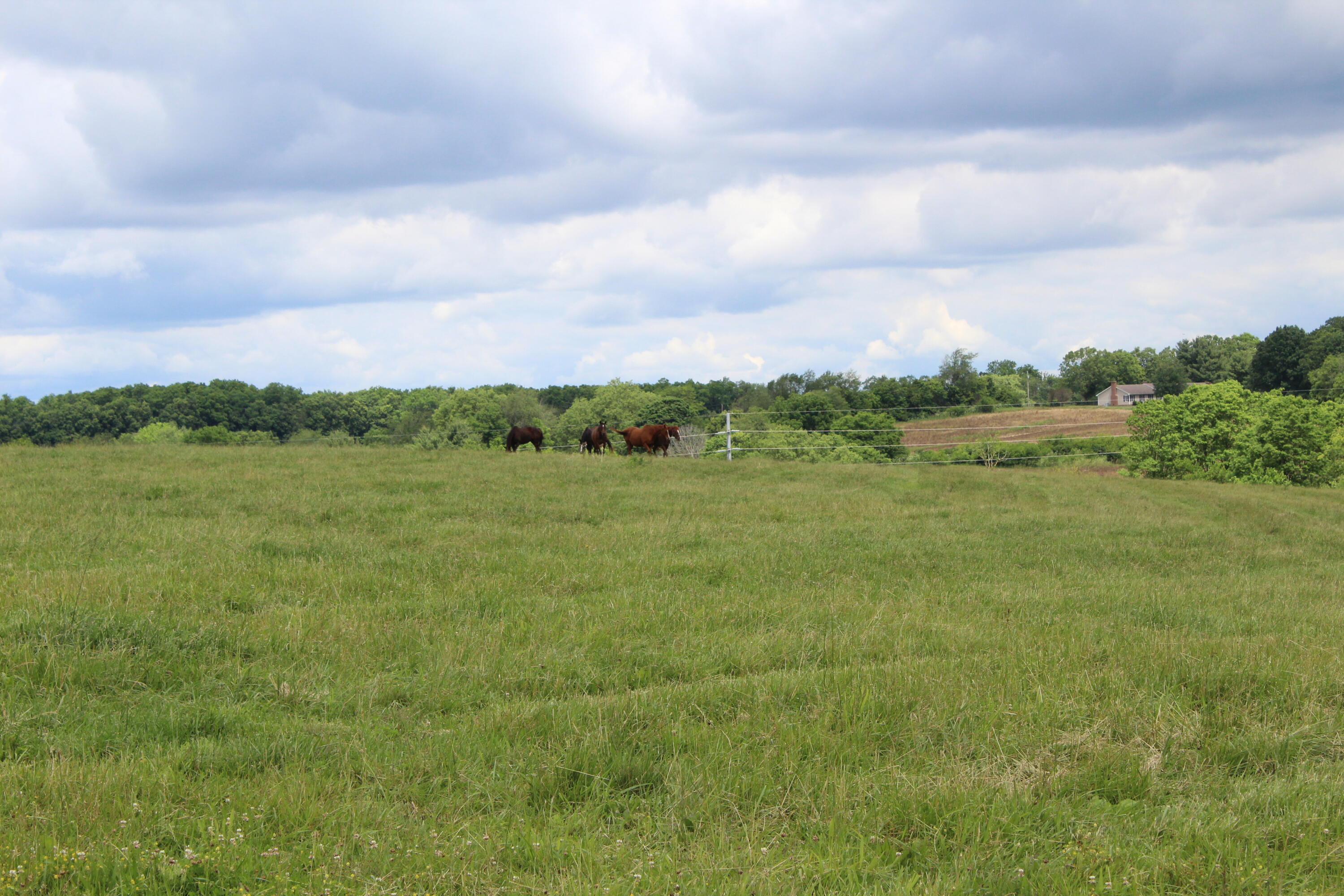 187 Jackstown Road Paris, KY 40361 - Photo 17 of 18 IMG_2809