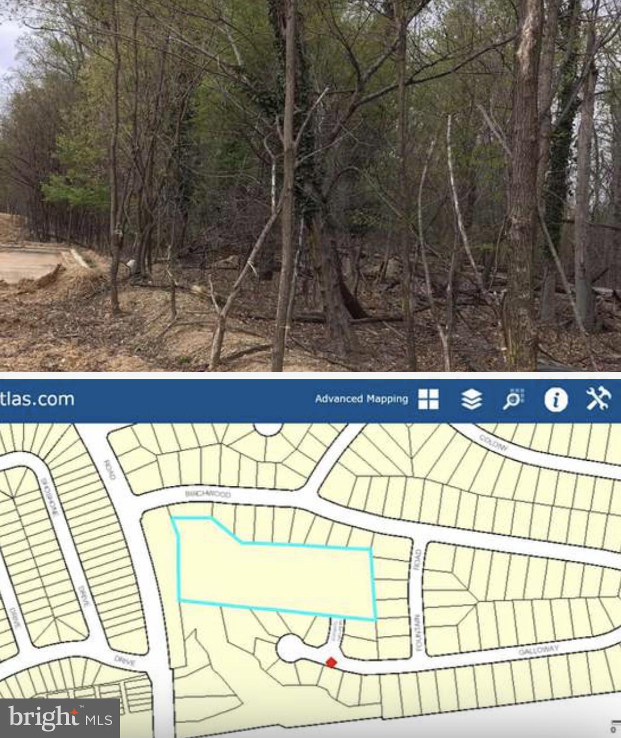Livingston Road Oxon Hill, MD 20745 - Photo 3 of 3