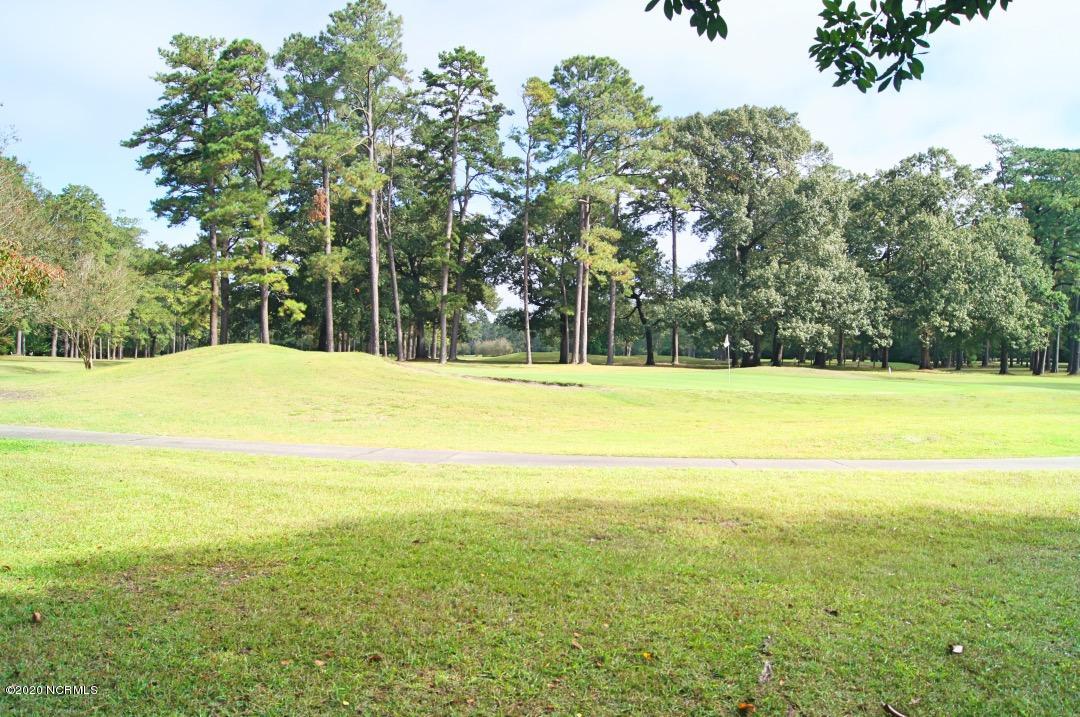 6651 River Road Washington, NC 27889 - Photo 32 of 35 032_GolfCourseView2