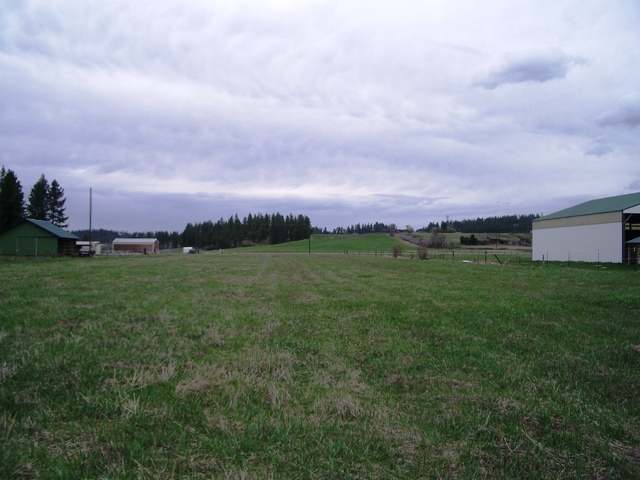 5720 East Greenbluff Road Colbert, WA 99005 - Photo 3 of 5