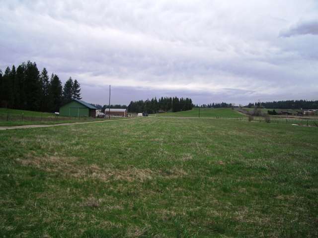 5720 East Greenbluff Road Colbert, WA 99005 - Photo 4 of 5