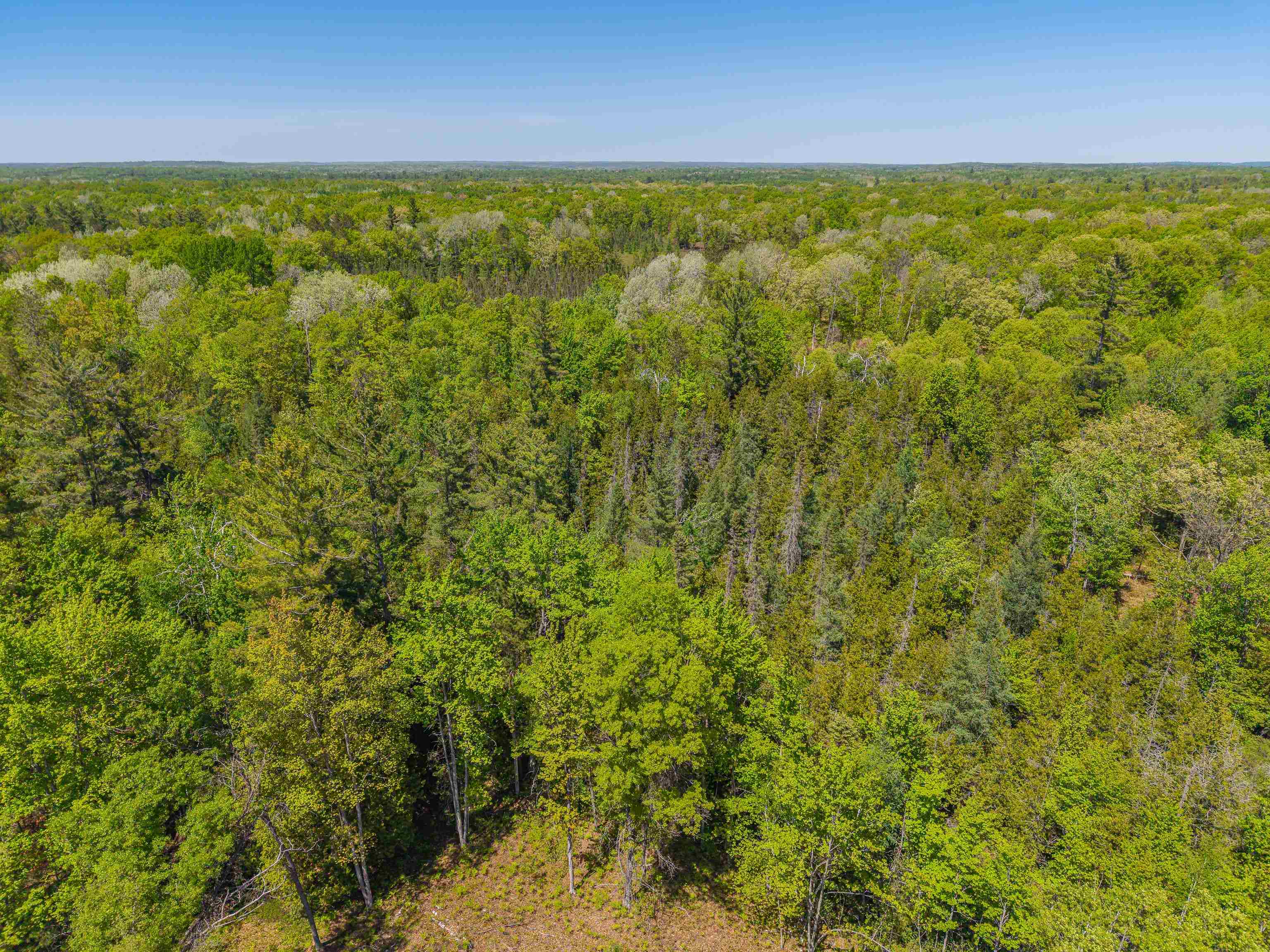 240 Hilts Road Gladwin, MI 48624 - Photo 73 of 97