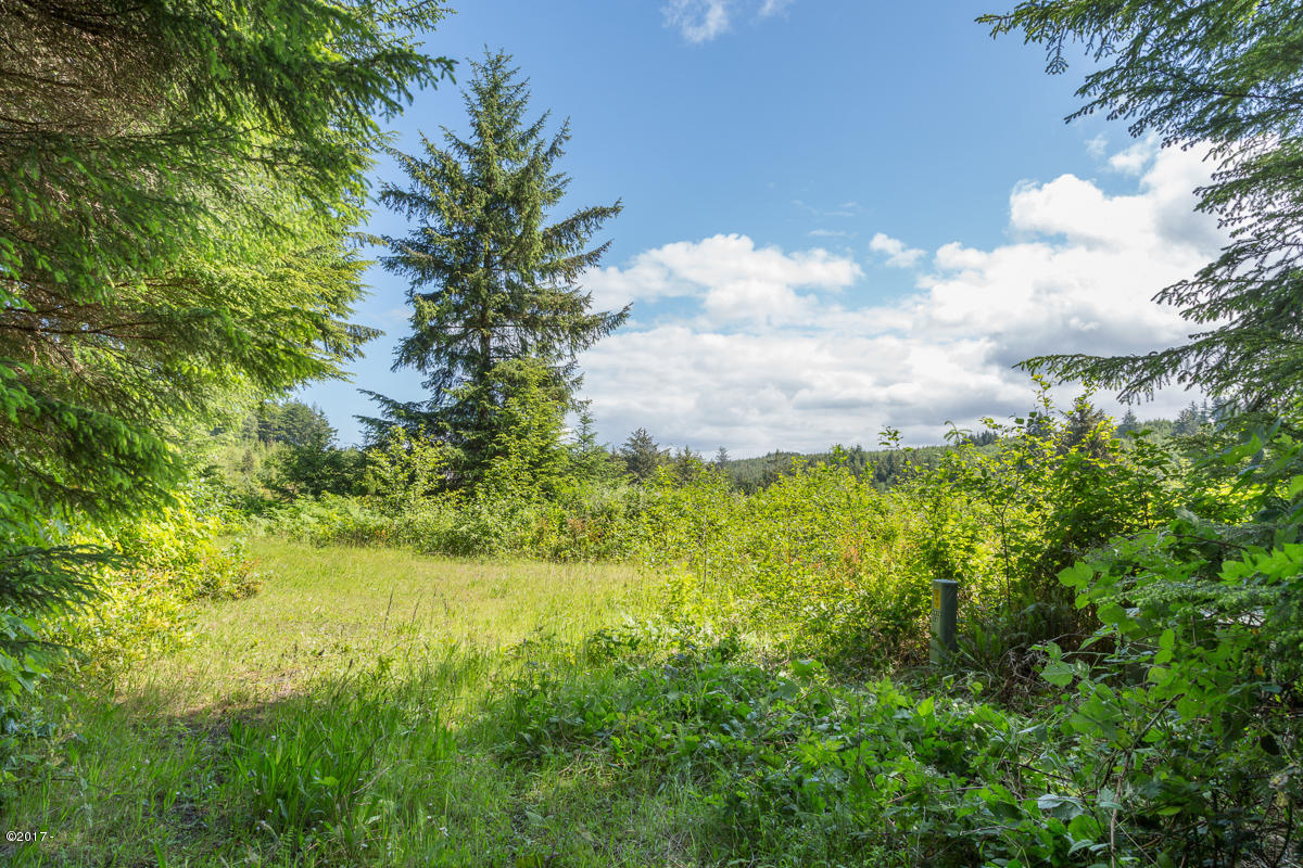 Lot 400 Northwest Legion Road Waldport, OR 97394 - Photo 2 of 10 Building Site Cleared