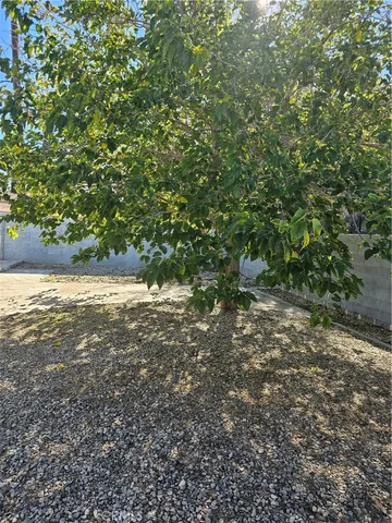 a view of a yard with a tree