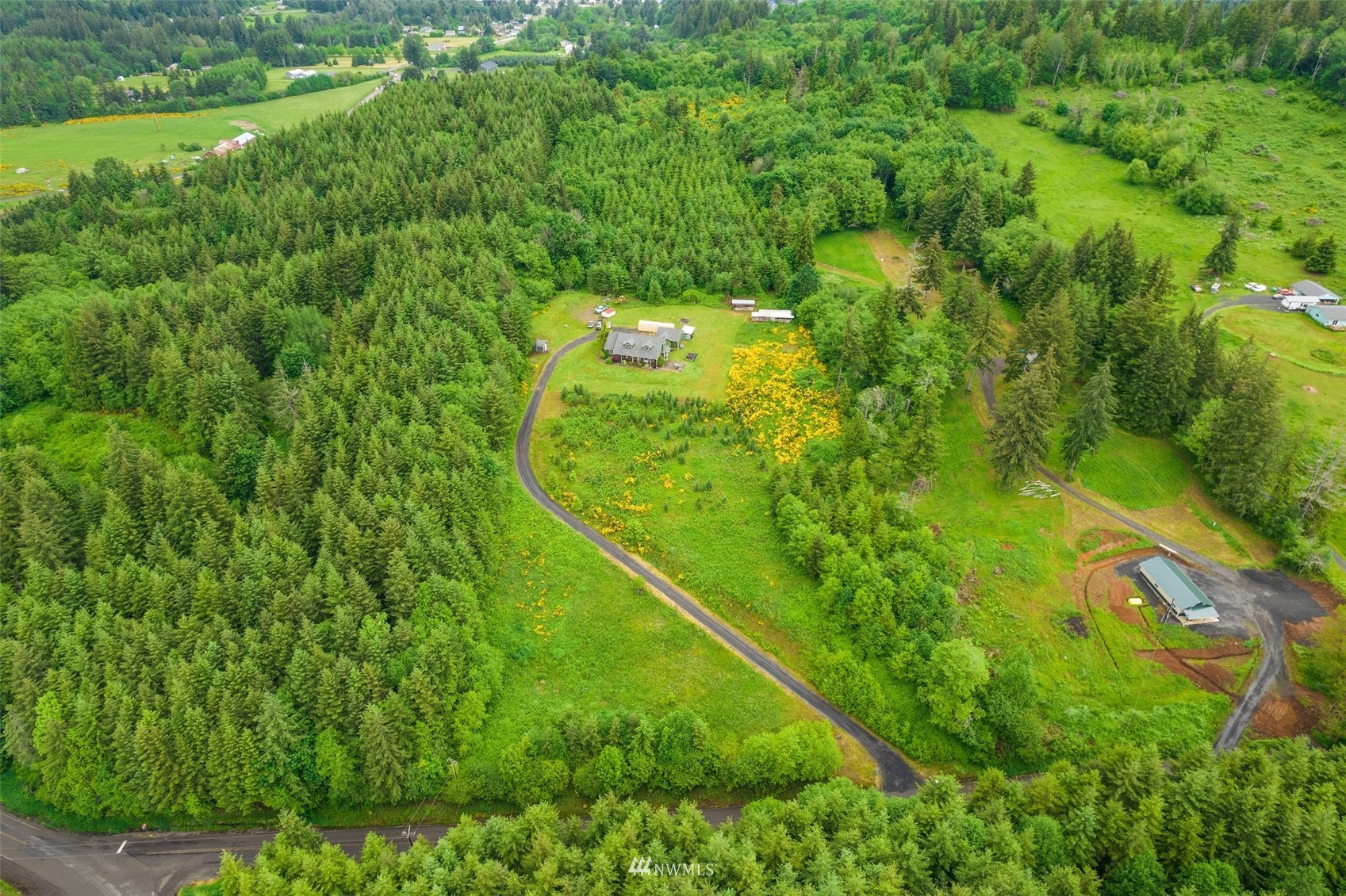 356 Wells Road Pe Ell, WA 98572 - Photo 3 of 40 a view of a yard with plants and large trees
