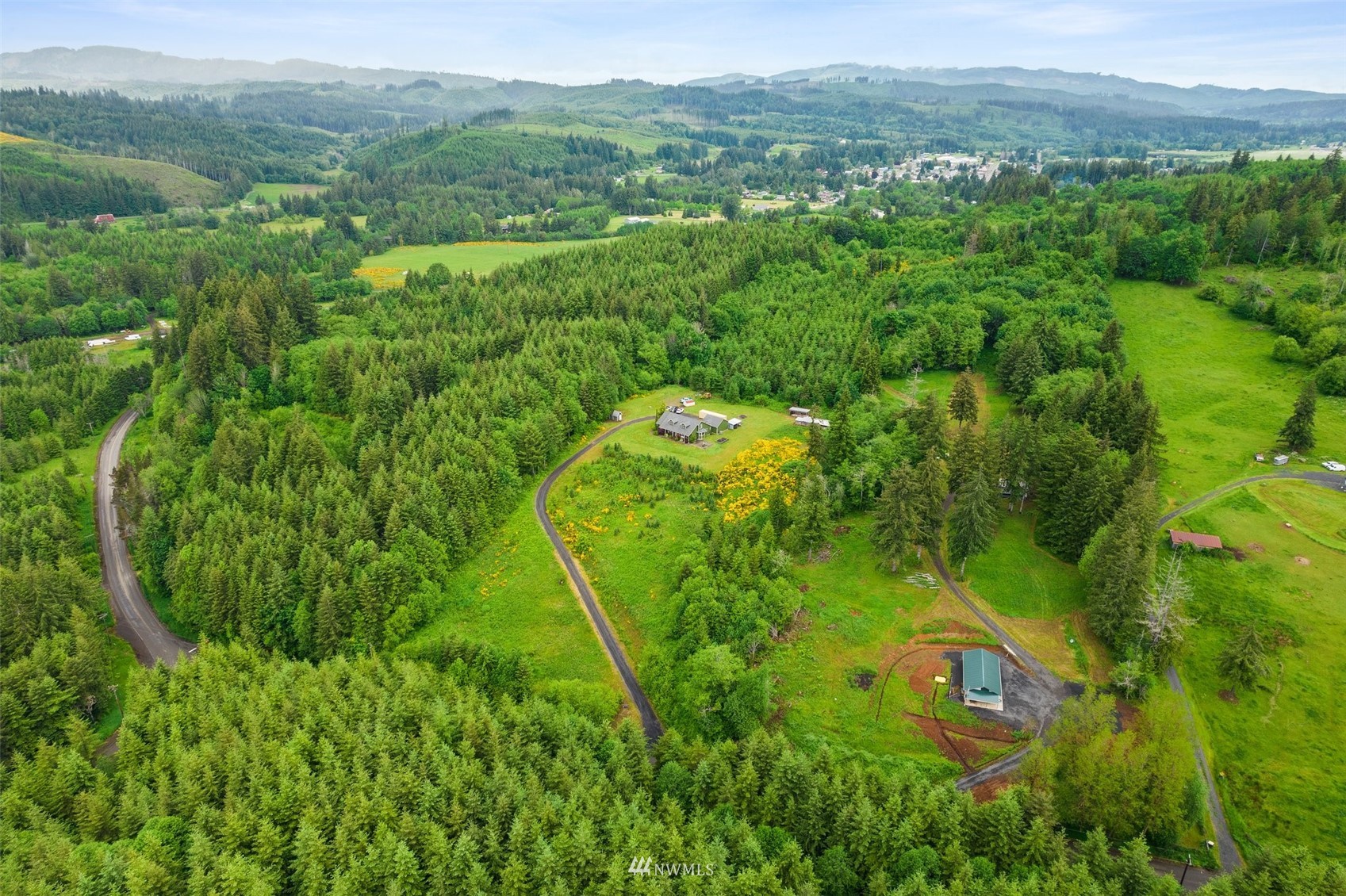 356 Wells Road Pe Ell, WA 98572 - Photo 33 of 40 a view of a lush green forest with trees and some houses