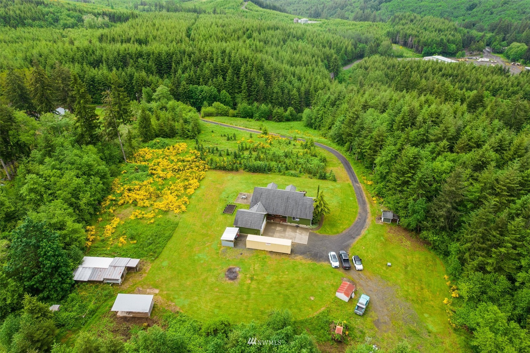 356 Wells Road Pe Ell, WA 98572 - Photo 36 of 40 an aerial view of a pool with a yard