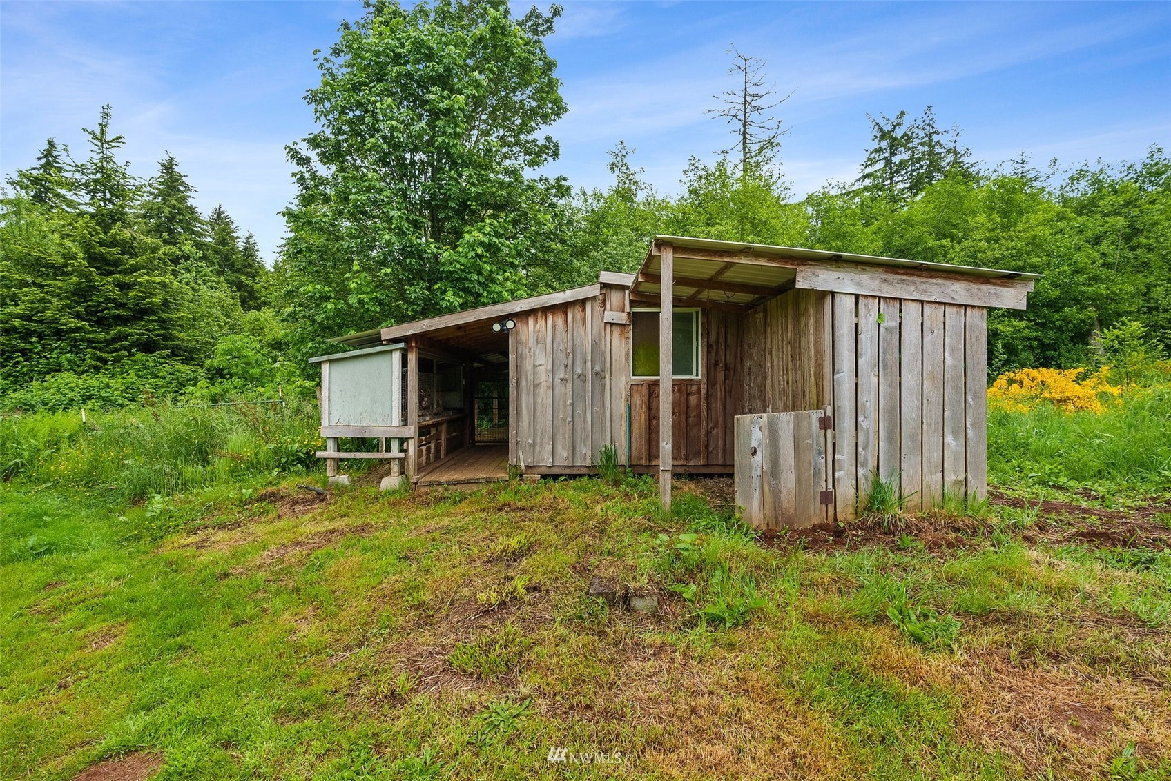 356 Wells Road Pe Ell, WA 98572 - Photo 39 of 40 a backyard of a house with plants and tree