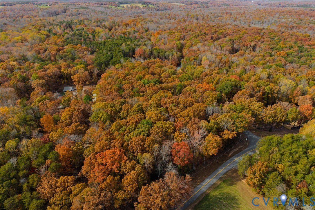Lot 2 Maidens Road Maidens, VA 23102 - Photo 12 of 35 Aerial view of property and surrounding area