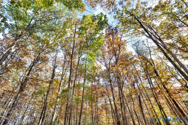 $214,999 | Lot 2 Maidens Road, Maidens, VA 23102