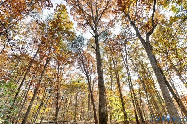 $214,999 | Lot 2 Maidens Road, Maidens, VA 23102