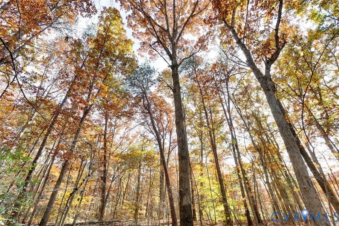 Lot 2 Maidens Road Maidens, VA 23102 - Photo 32 of 35 View of undeveloped land
