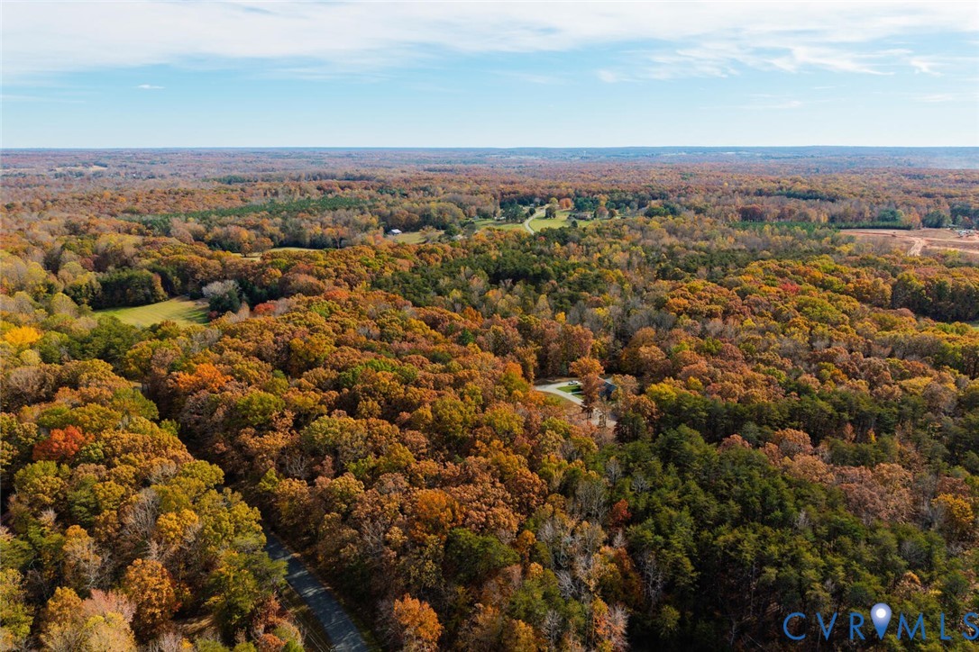 Lot 2 Maidens Road Maidens, VA 23102 - Photo 9 of 35 Bird's eye view of a heavily wooded area