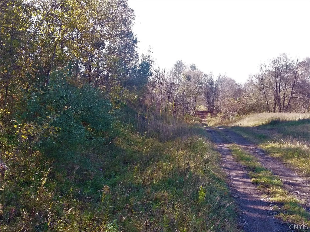 0 Crookshank Road South Utica, NY 13502 - Photo 24 of 32 Gallery Image 24