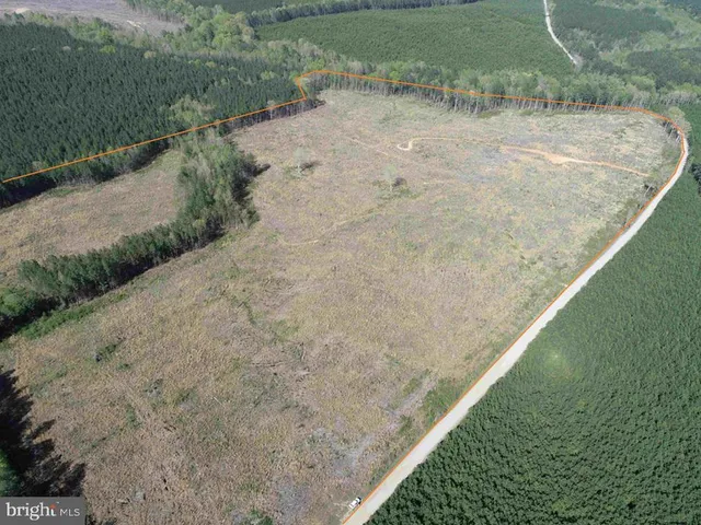 a view of a dry yard with wooden fence