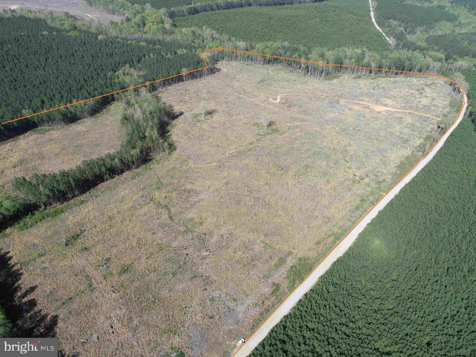 a view of a dry yard with wooden fence