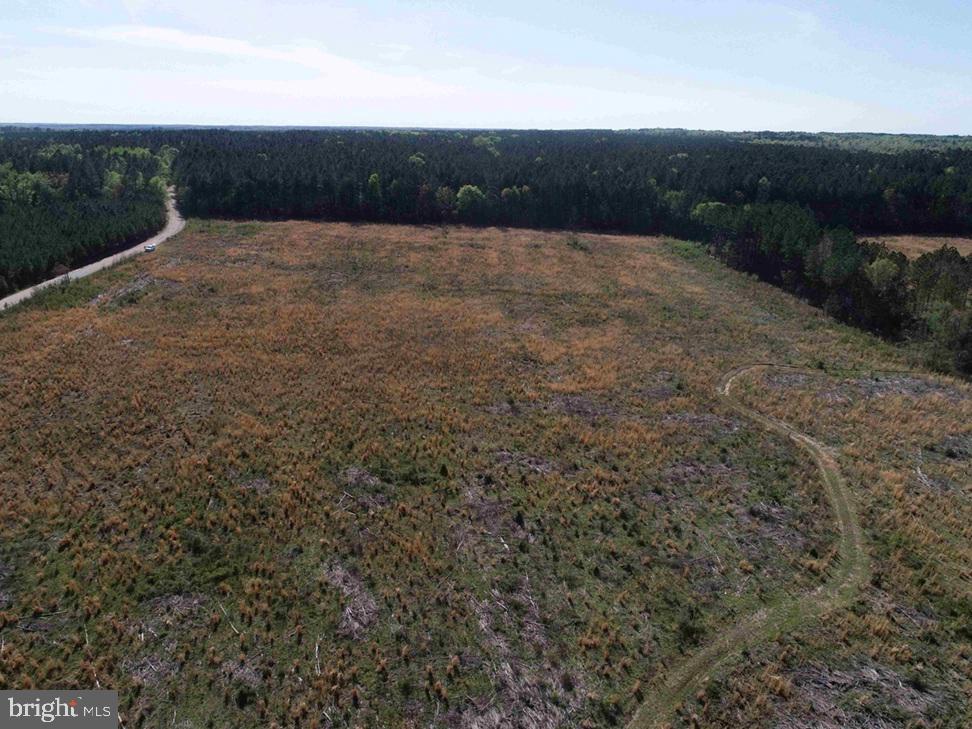 Cherry Hill Road McKenney, VA 23872 - Photo 11 of 12 a view of outdoor space and yard