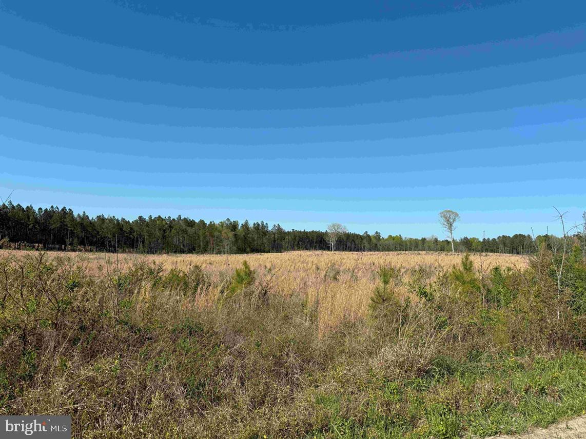 Cherry Hill Road McKenney, VA 23872 - Photo 12 of 12 a view of an ocean