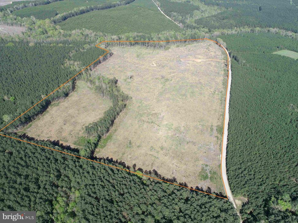 Cherry Hill Road McKenney, VA 23872 - Photo 2 of 12