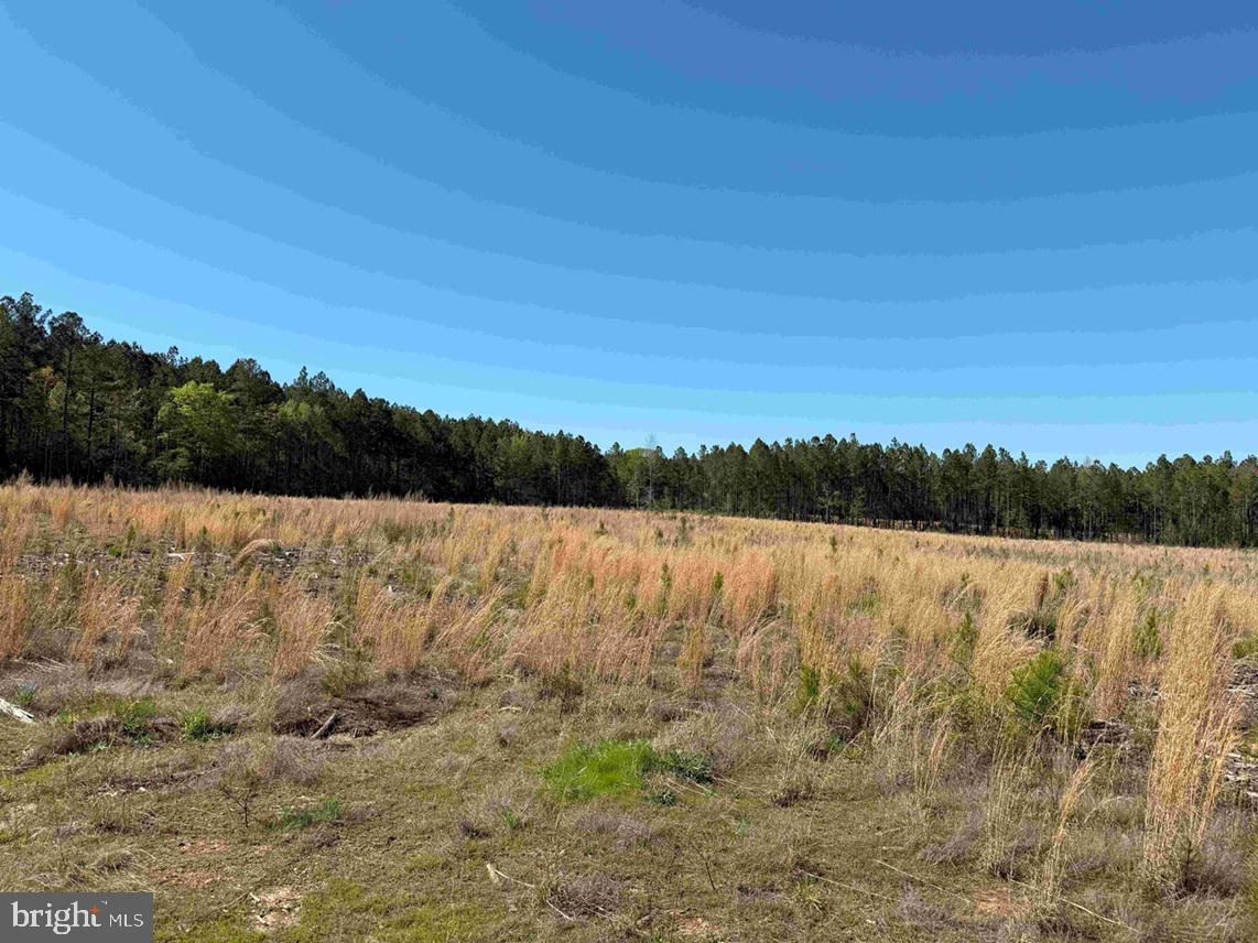 Cherry Hill Road McKenney, VA 23872 - Photo 4 of 12 a view of lake