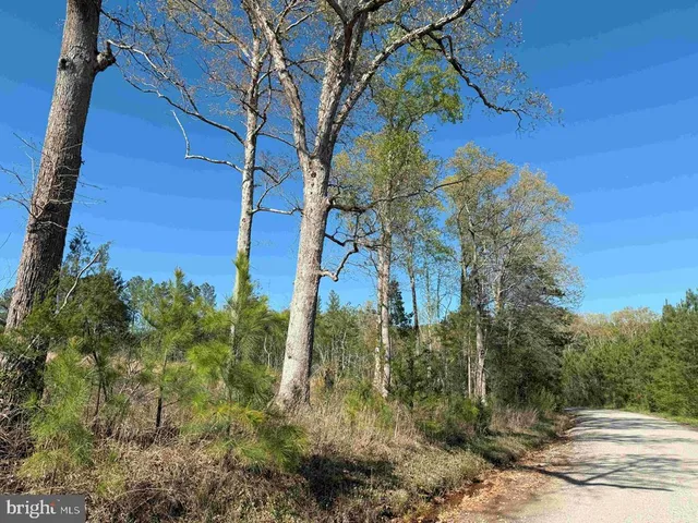 a view of lake and mountain