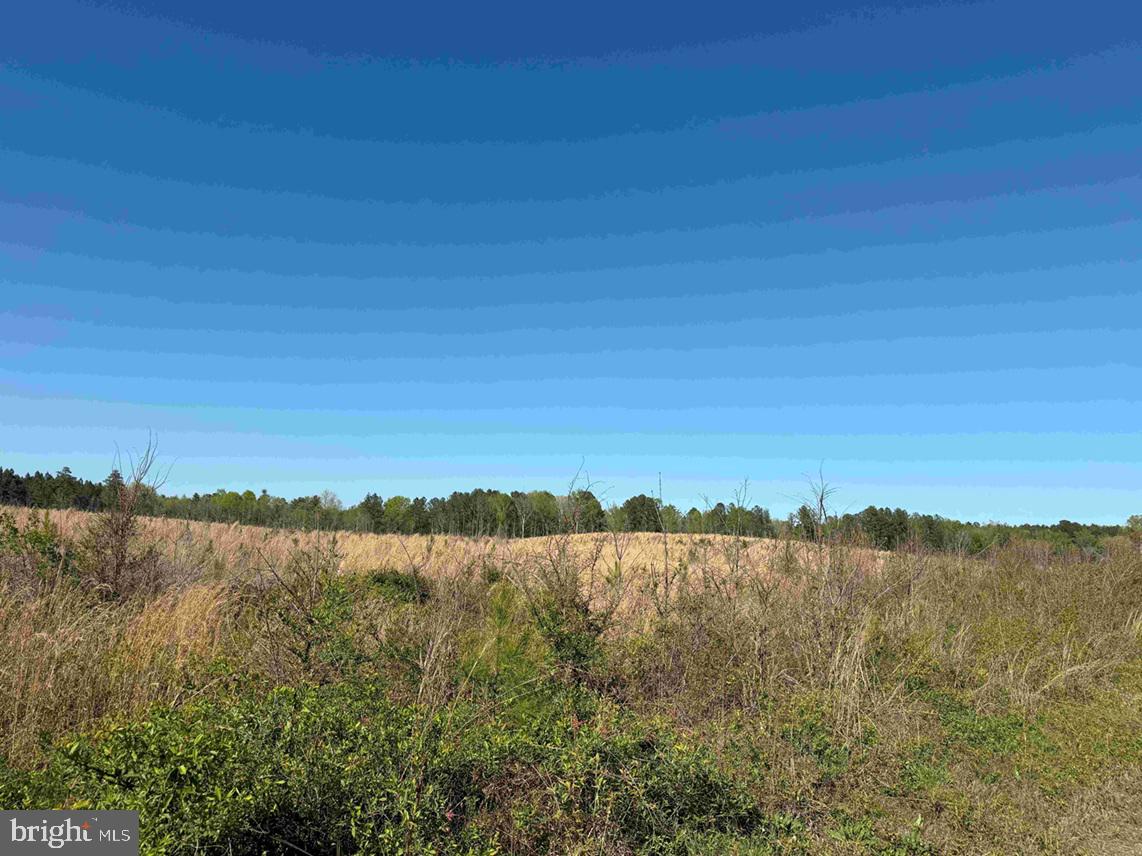 Cherry Hill Road McKenney, VA 23872 - Photo 6 of 12 a view of lake and mountain