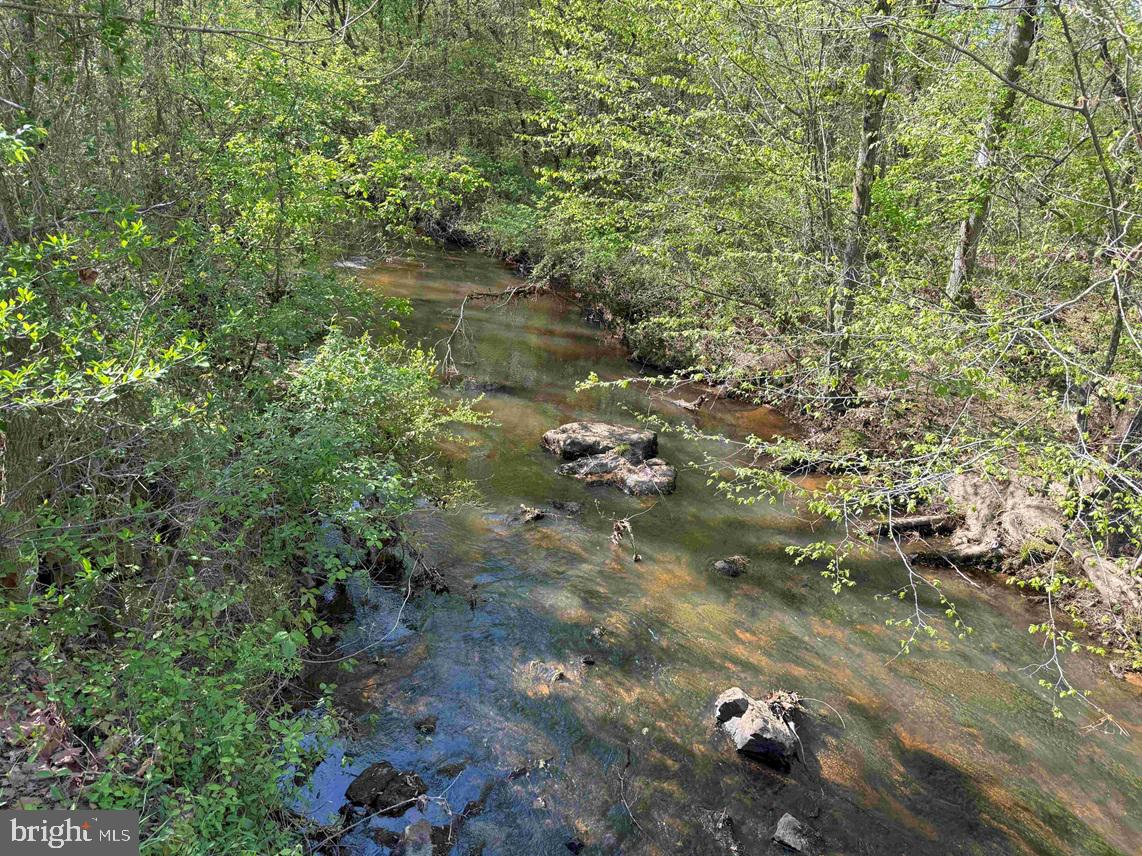 Cherry Hill Road McKenney, VA 23872 - Photo 8 of 12 a view of a forest with a yard