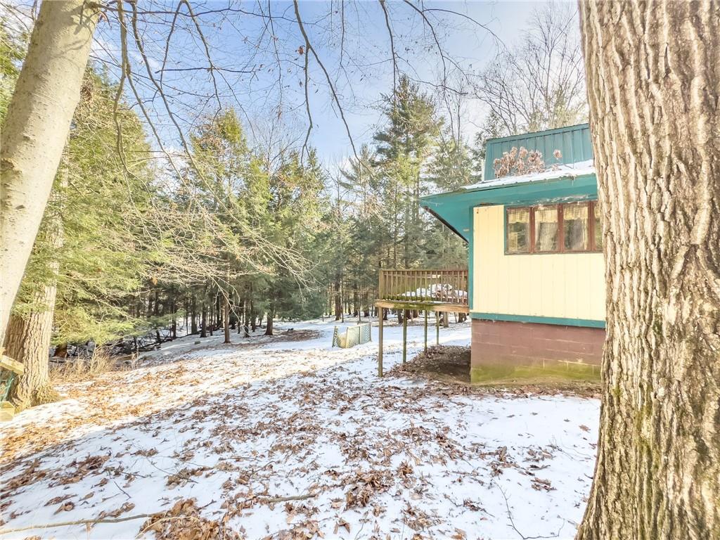 1167 Woolendean Road Treasure Lake, PA 15801 - Photo 2 of 36 a view of a yard with a tree