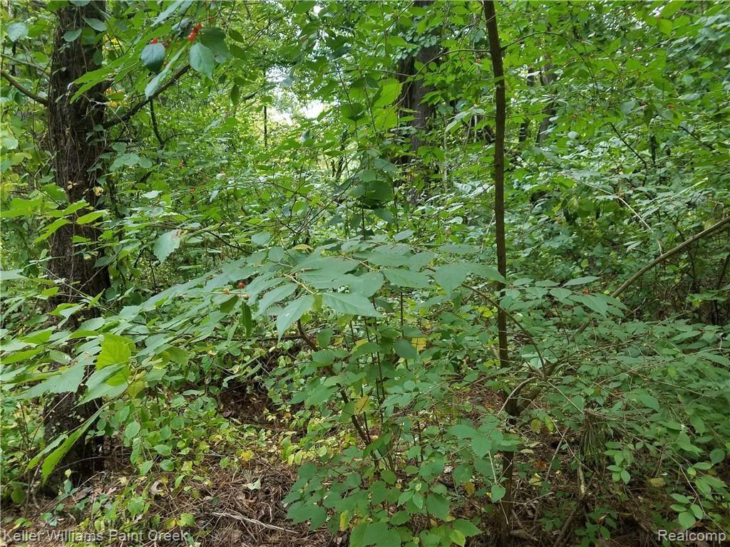 3950 Maybee Road Lake Orion, MI 48359 - Photo 32 of 33 trails4.jpg