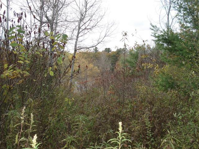 Lot B Lot B Bradley Road Eddington, ME 04428 - Photo 3 of 4 Photo