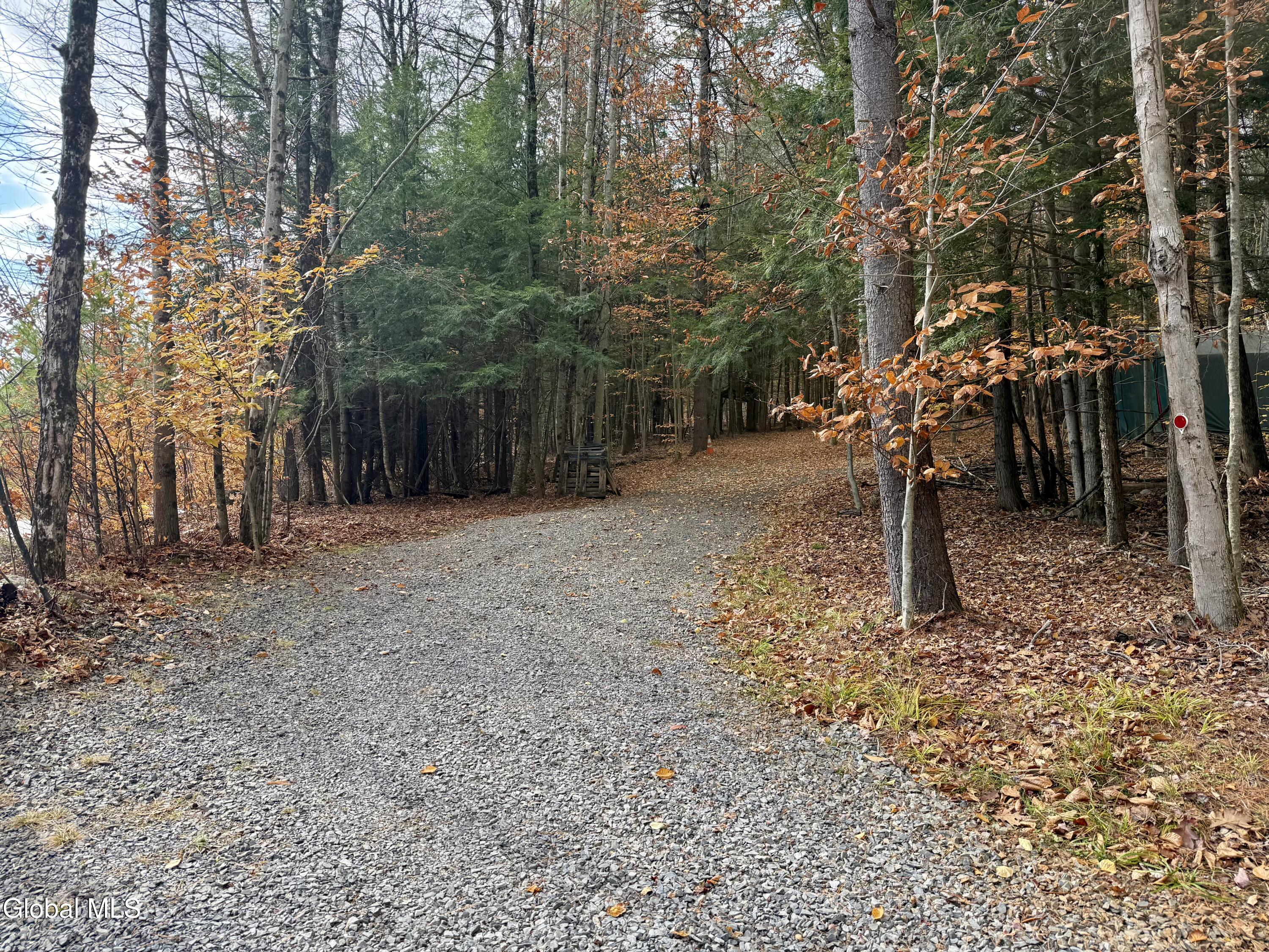 319 Snow Road Day, NY 12835 - Photo 20 of 33 IMG_1798