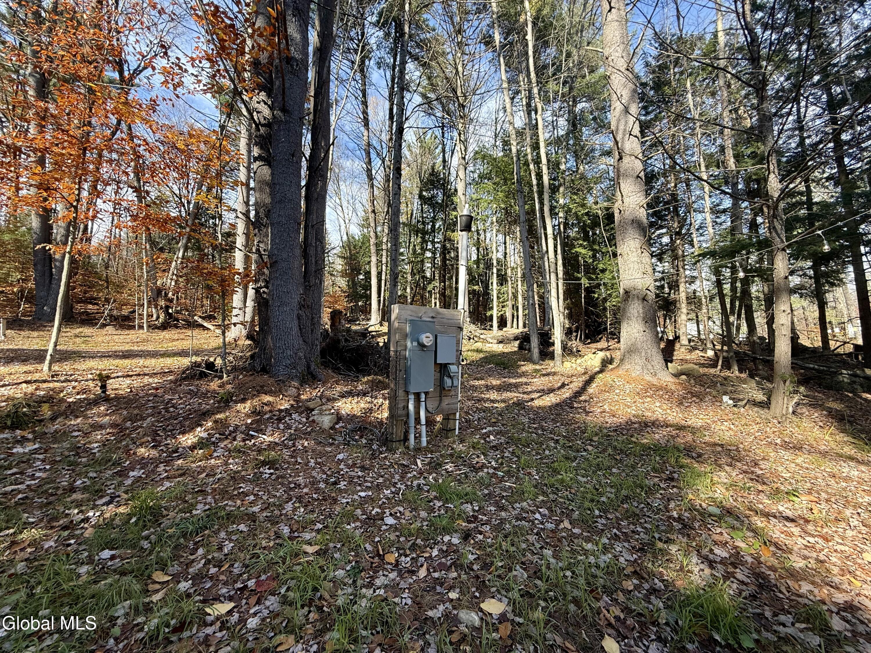 319 Snow Road Day, NY 12835 - Photo 23 of 33 IMG_1793