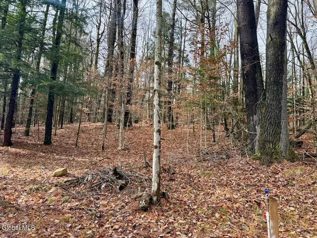 $147,000 | 319 Snow Road, Day, NY 12835