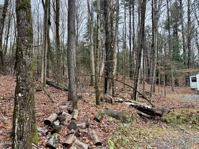 $147,000 | 319 Snow Road, Day, NY 12835