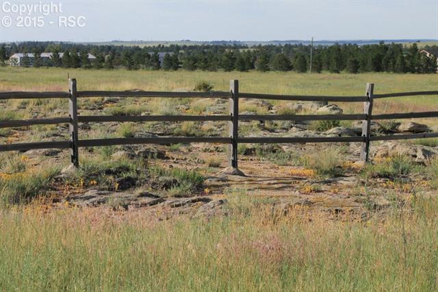1231 East Rim Road Franktown, CO 80116 - Photo 20 of 25 Gallery Image 20