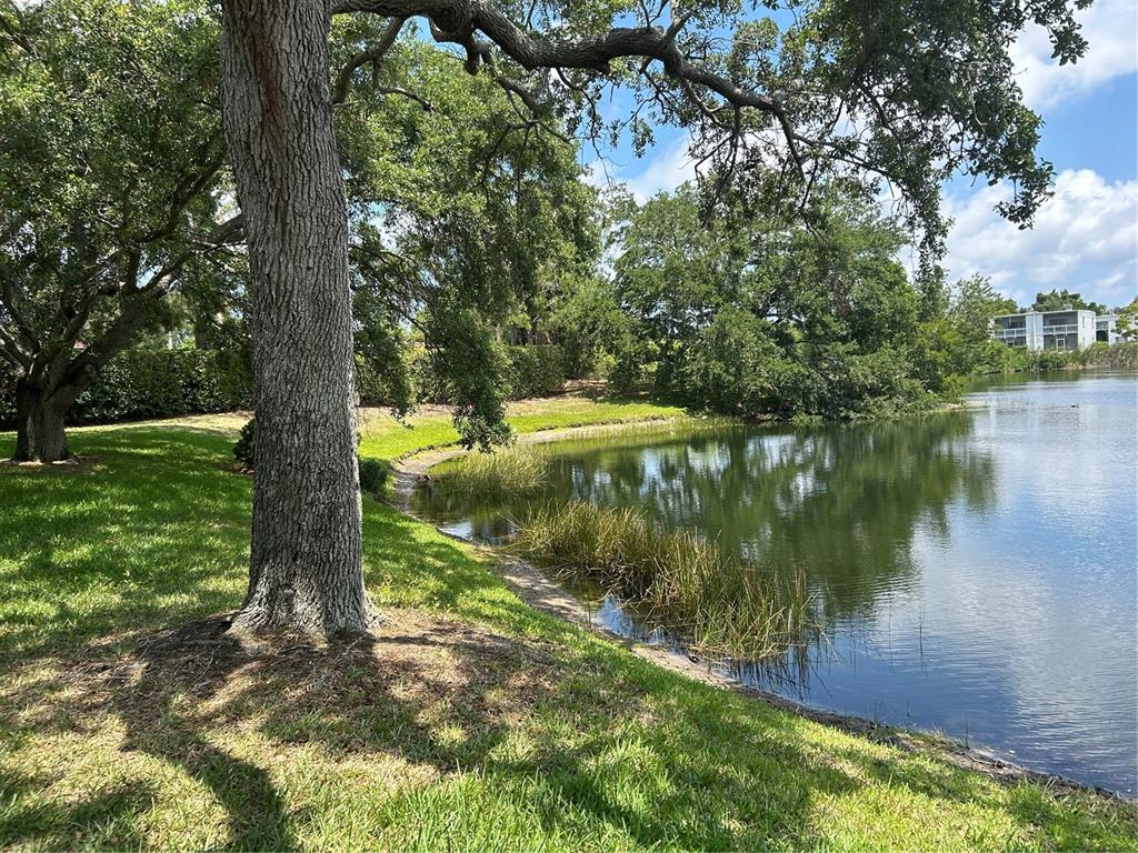 645 North Keene Road, Unit D Clearwater, FL 33755 - Photo 27 of 27 a view of lake