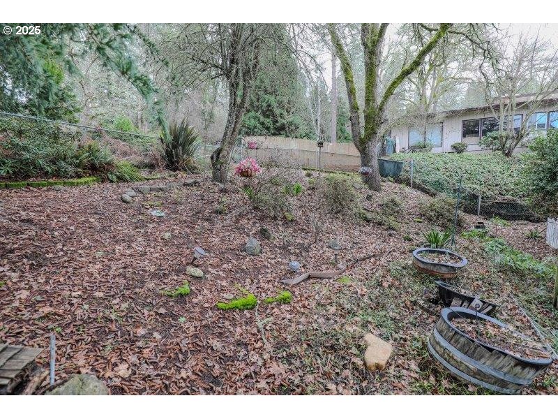 1147 Southeast Kane Street Roseburg, OR 97470 - Photo 40 of 41 a backyard of a house with lots of green space