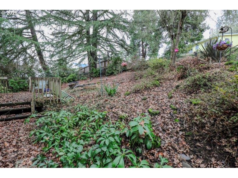1147 Southeast Kane Street Roseburg, OR 97470 - Photo 41 of 41 a view of backyard with green space