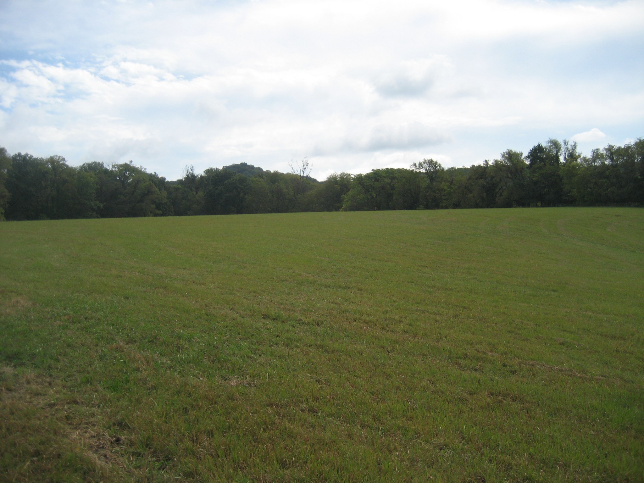 1290 Globe Road Lewisburg, TN 37091 - Photo 1 of 36 Gallery Image 1