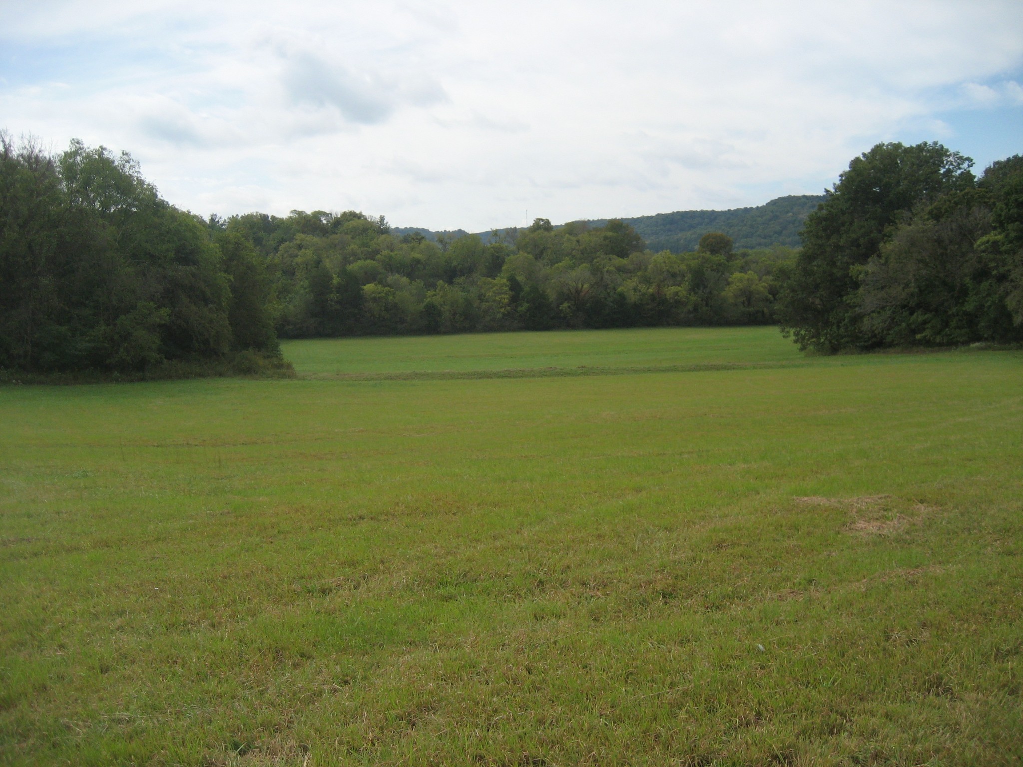 1290 Globe Road Lewisburg, TN 37091 - Photo 2 of 36 Gallery Image 2