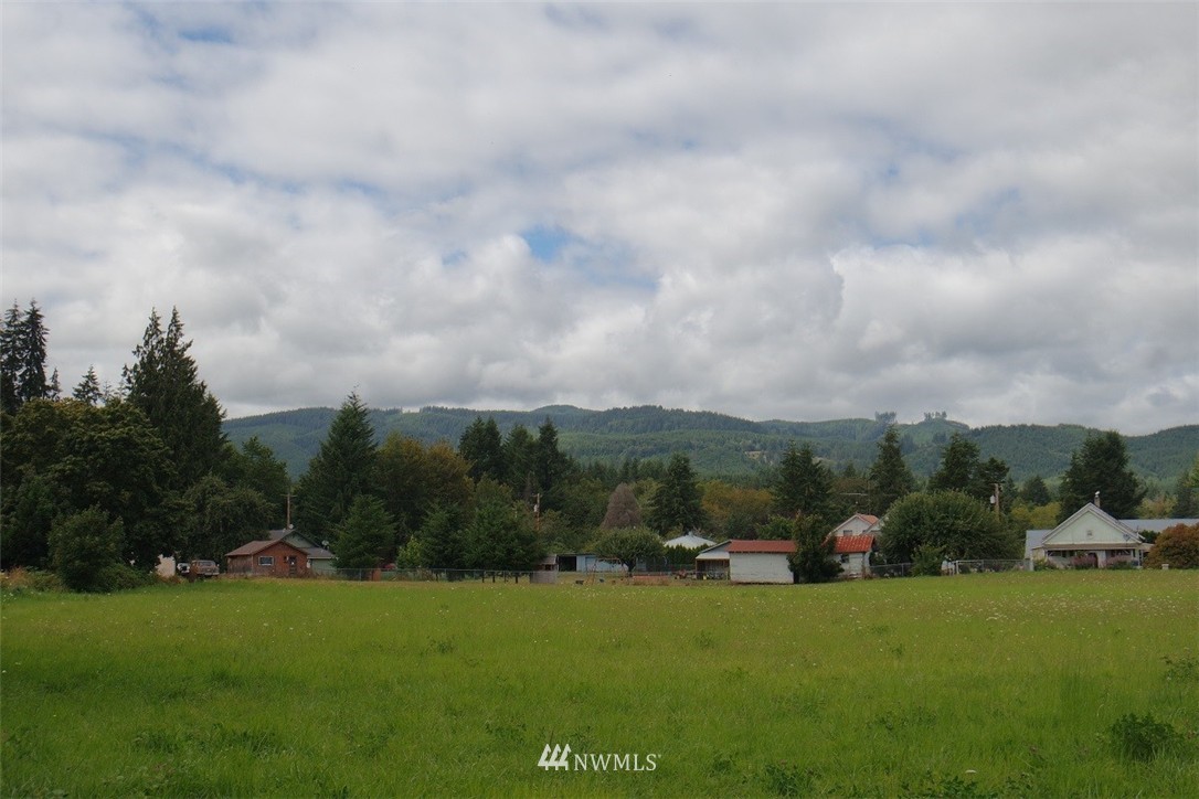 190 Stevens Road Doty, WA 98539 - Photo 1 of 15