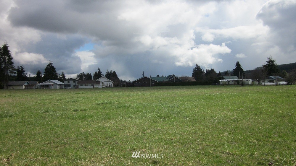 190 Stevens Road Doty, WA 98539 - Photo 12 of 15