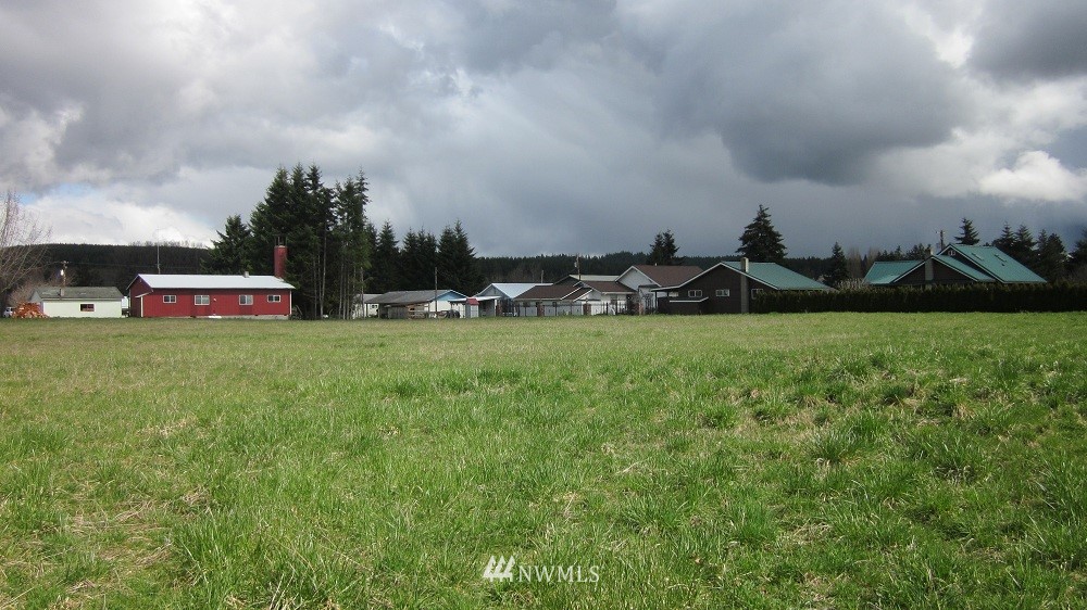 190 Stevens Road Doty, WA 98539 - Photo 13 of 15