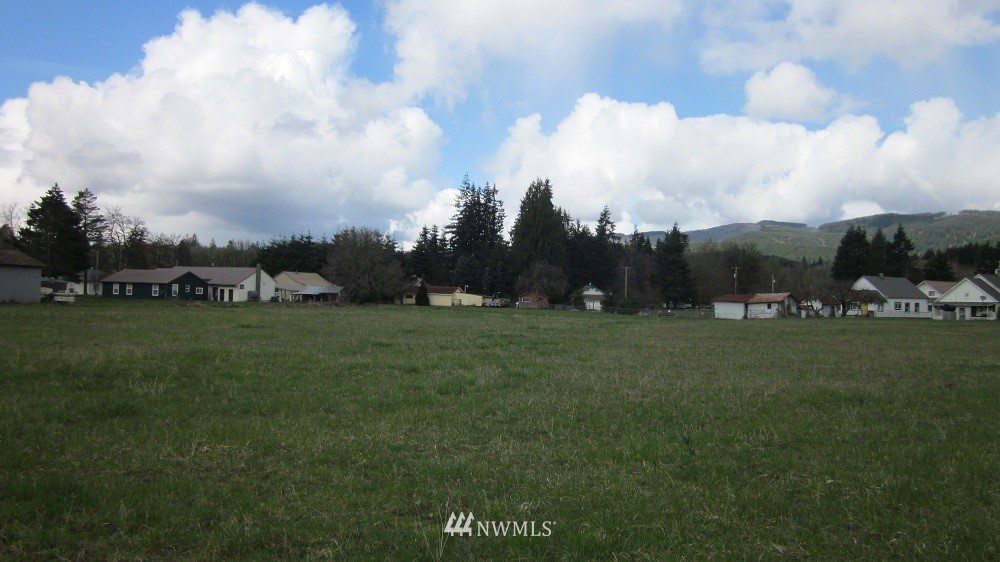 190 Stevens Road Doty, WA 98539 - Photo 10 of 15