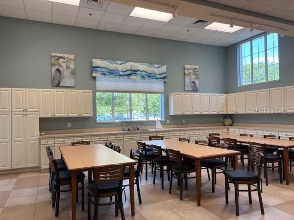 a park with lots of palm trees