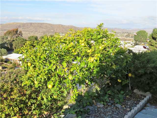 7467 Mission Gorge Road, Unit 286 Santee, CA 92071 - Photo 16 of 19