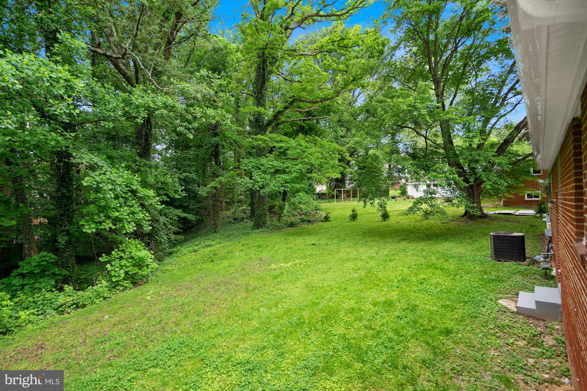 9101 Old Keene Mill Road Springfield, VA 22152 - Photo 25 of 28 a view of a tree in a yard