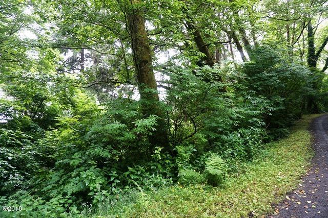 7800-blk Northeast Logan Road Lincoln City, OR 97367 - Photo 3 of 8 Lot 1.3